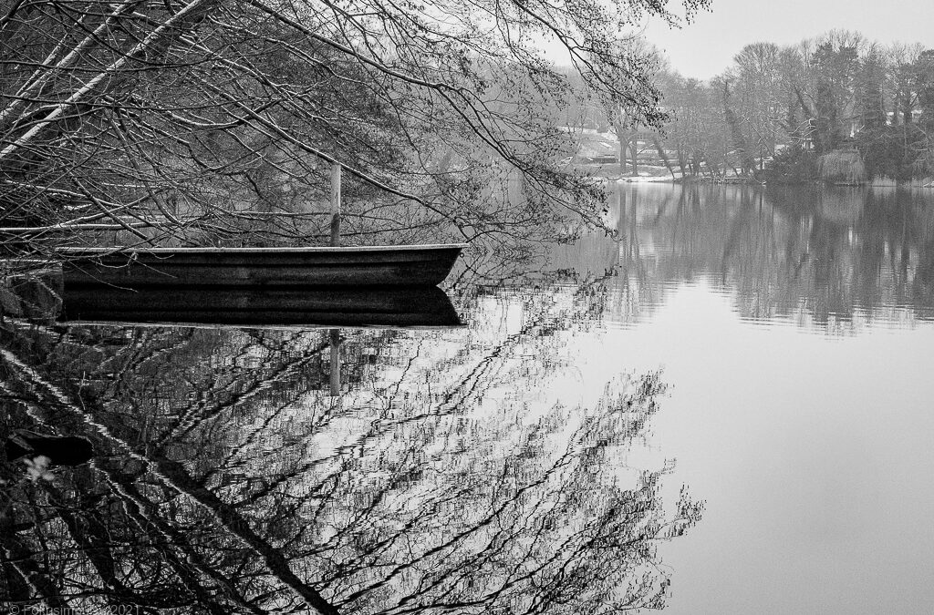 Spiegelungen und Reflexionen