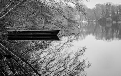 Spiegelungen und Reflexionen