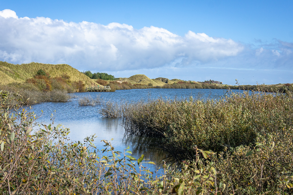 Fokusimpulse - Amrum Wriakhörnsee