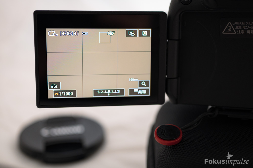 Fokusimpulse – Canon EOS R7 Tipp Hinweis