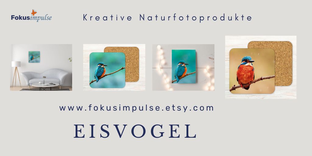 Fokusimpulse Kreative Fotoprodukte in unserem Etsy-Shop entdecken - Eisvogel-Motive