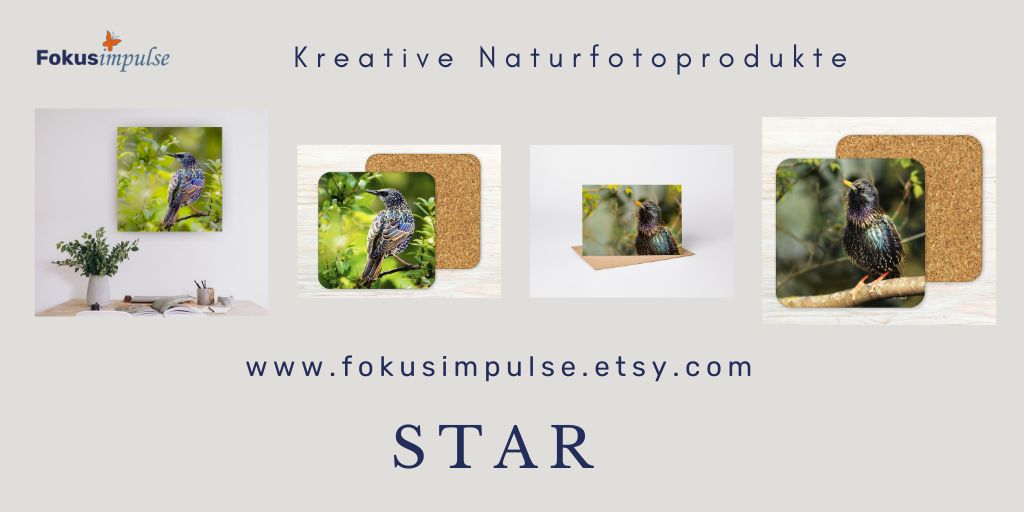 Fokusimpulse Kreative Fotoprodukte in unserem Etsy-Shop entdecken - Star-Motive