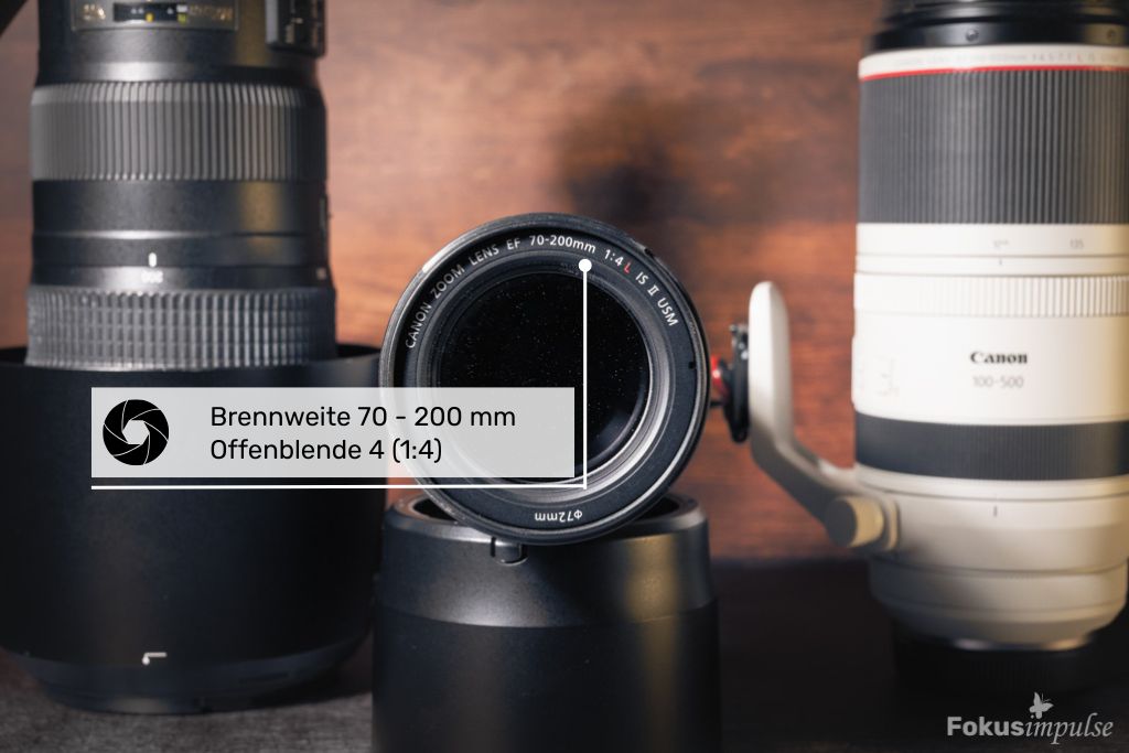 Fokusimpulse Naturfotografie einfach erklärt - Objektiv Canon 70-200mm