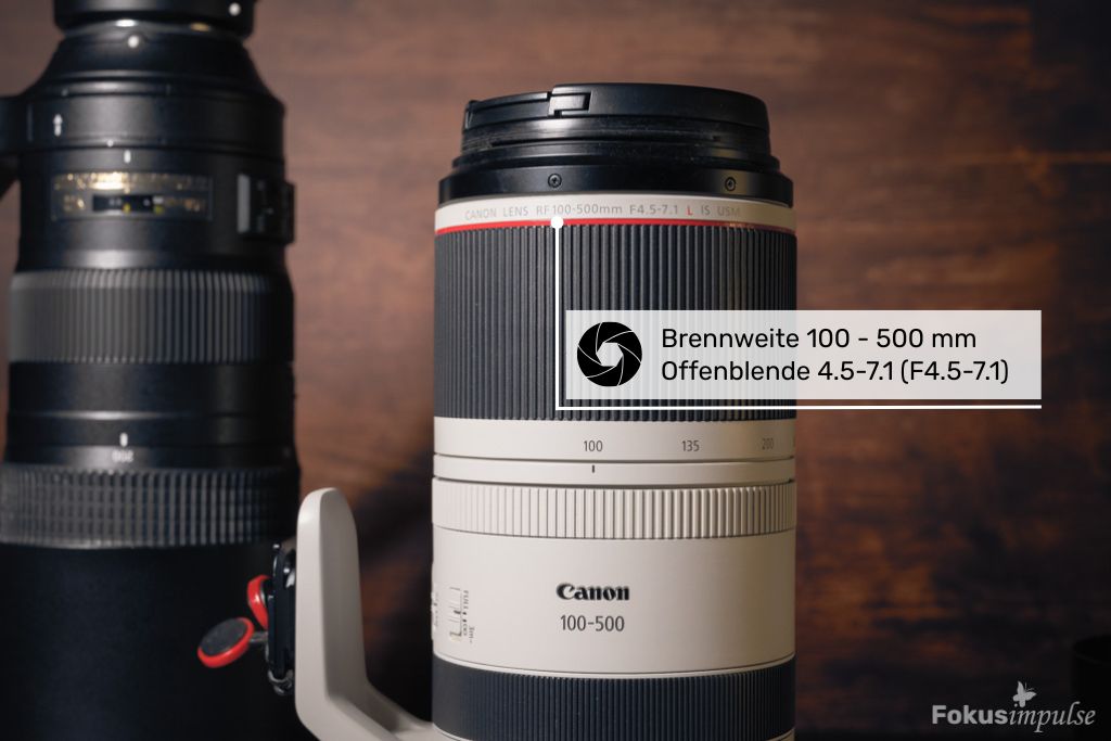 Fokusimpulse Naturfotografie einfach erklärt - Objektiv Canon 100-500mm