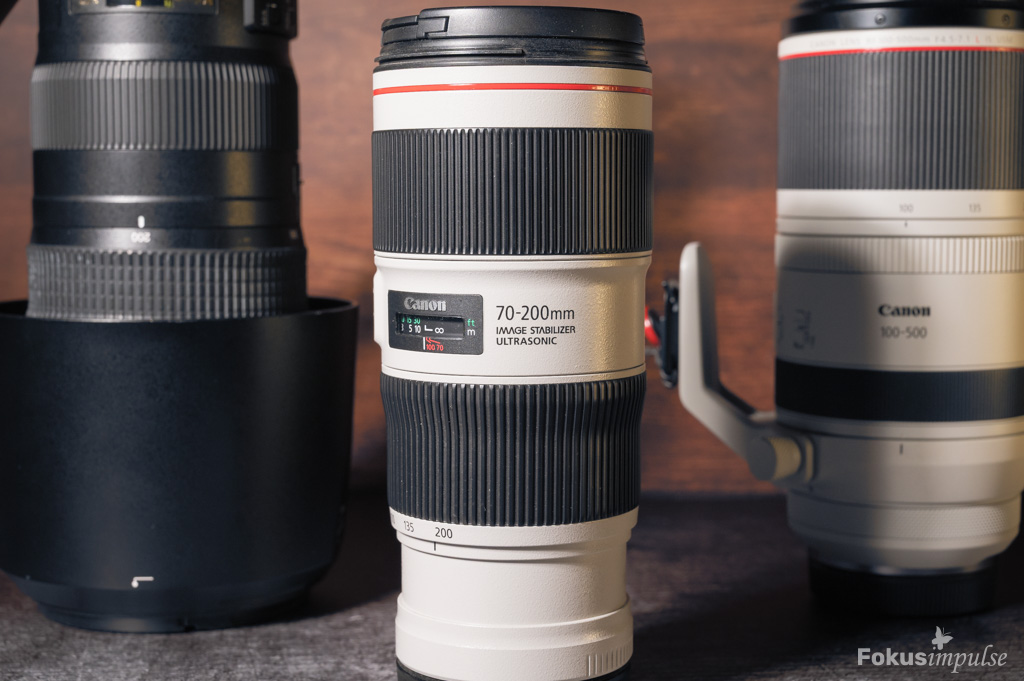 Fokusimpulse Naturfotografie einfach erklärt - Objektiv Canon 70-200mm