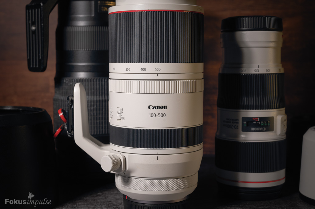 Fokusimpulse Naturfotografie einfach erklärt - Objektiv Canon 100-500mm