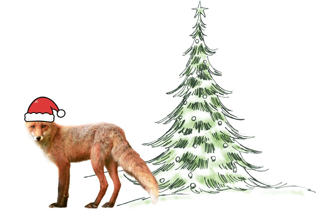 Fokusimpulse - Frohe Weihnachten wünschen Karo, Mayk und der Weihnachtsfuchs
