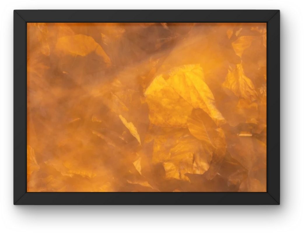 Fokusimpulse – Herbstlaub Fotokunst Fotodruck Digitaldruck für Büro Praxis Hotel