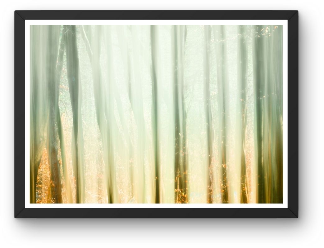 Fokusimpulse – Zauberwald Fotokunst Fotodruck Digitaldruck für Büro Praxis Hotel