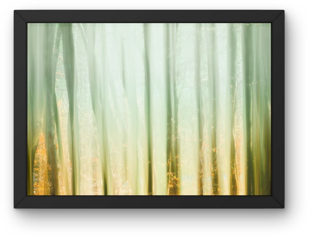 Fokusimpulse – Zauberwald Fotokunst Fotodruck Digitaldruck für Büro Praxis Hotel