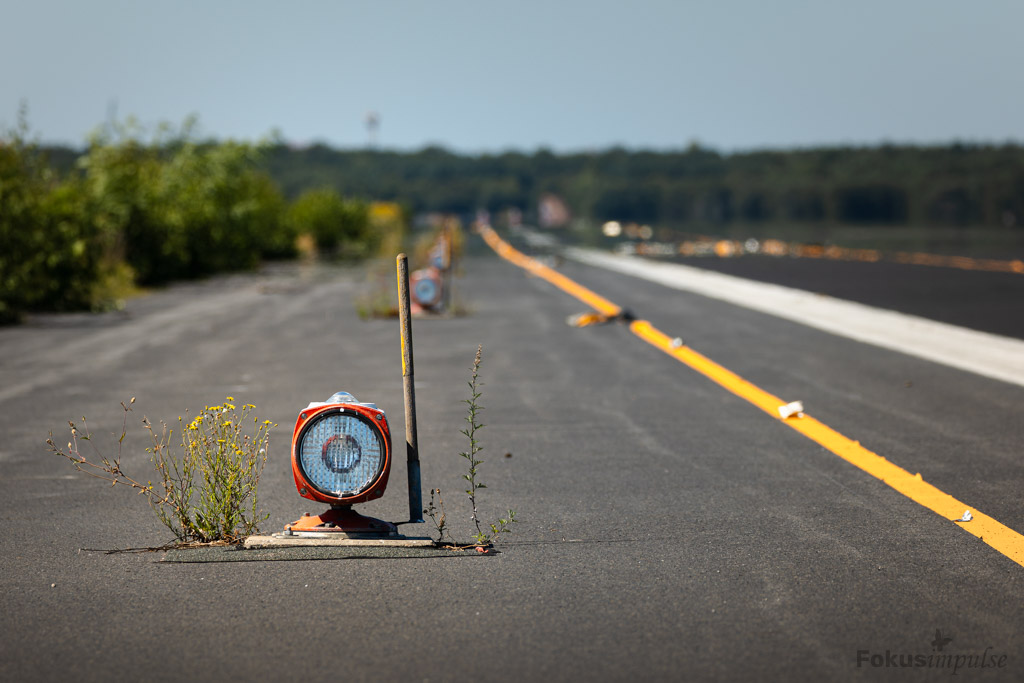 Fokusimpulse – Naturfotografie-Workshop